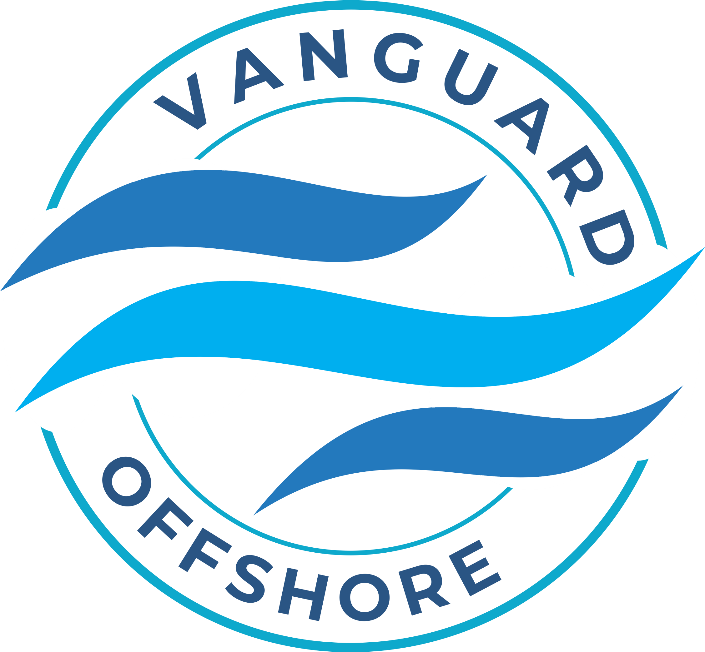 Vanguard Offshore LLC